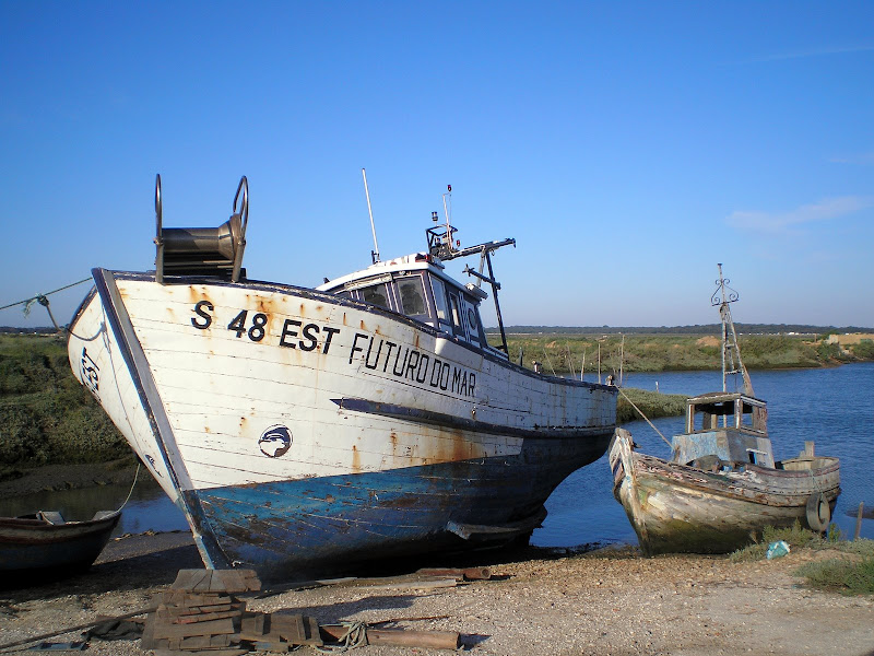 Futuro do Mar, barcos do Sado