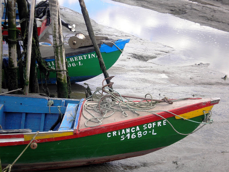 Criança sofre!, Carraqueira