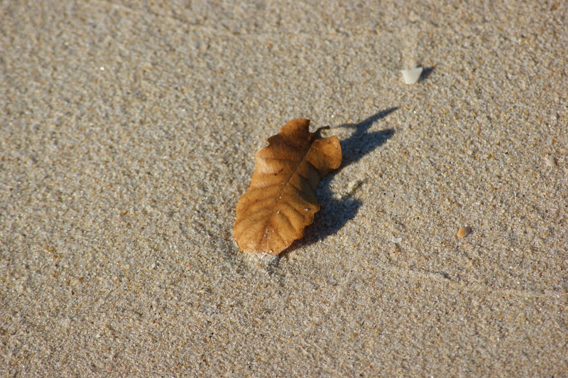 Deixei-me ficar na praia ....