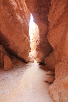 BryceCanyonNP_20100818_0299.JPG Photo