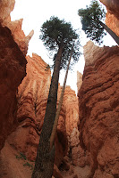 BryceCanyonNP_20100818_0302.JPG Photo