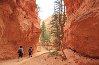 BryceCanyonNP_20100818_0304.JPG Photo