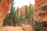BryceCanyonNP_20100818_0308.JPG Photo