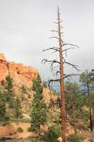 BryceCanyonNP_20100818_0323.JPG Photo