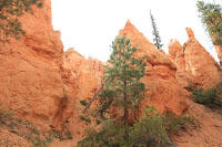 BryceCanyonNP_20100818_0325.JPG Photo