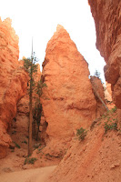 BryceCanyonNP_20100818_0330.JPG Photo