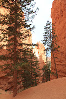 BryceCanyonNP_20100818_0336.JPG Photo