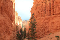 BryceCanyonNP_20100818_0338.JPG Photo