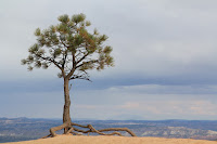 BryceCanyonNP_20100818_0360.JPG Photo