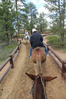 BryceCanyonNP_20100819_0418.JPG Photo