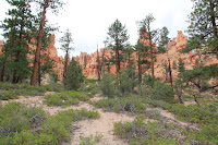 BryceCanyonNP_20100818_0095.JPG Photo