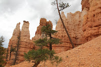 BryceCanyonNP_20100818_0121.JPG Photo
