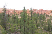 BryceCanyonNP_20100818_0103.JPG Photo