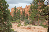 BryceCanyonNP_20100818_0092.JPG Photo