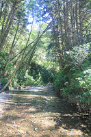 RedwoodEmpire_20100906_0559.JPG