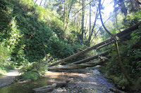 RedwoodEmpire_20100906_0562.JPG