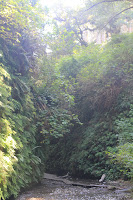 RedwoodEmpire_20100906_0568.JPG