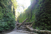 RedwoodEmpire_20100906_0583.JPG