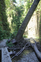 RedwoodEmpire_20100906_0614.JPG