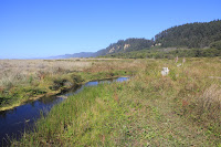 RedwoodEmpire_20100906_0637.JPG