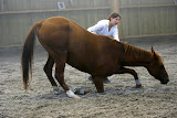 SG7_0083.JPG
