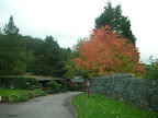 pic3