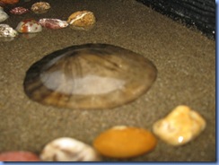 IMG_3630 IMG_3630