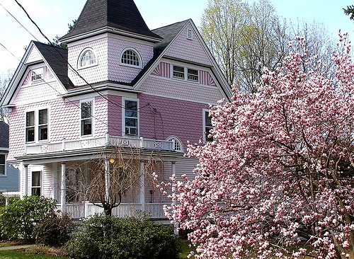 [pink victorian[9].jpg]
