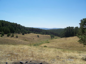 100_4555.JPG