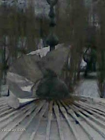 Image00047.jpeg