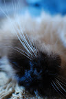 DSC_0111.JPG