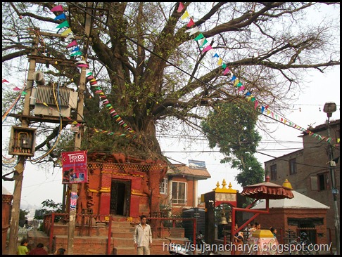 Handigaon Krishna Temple (1)