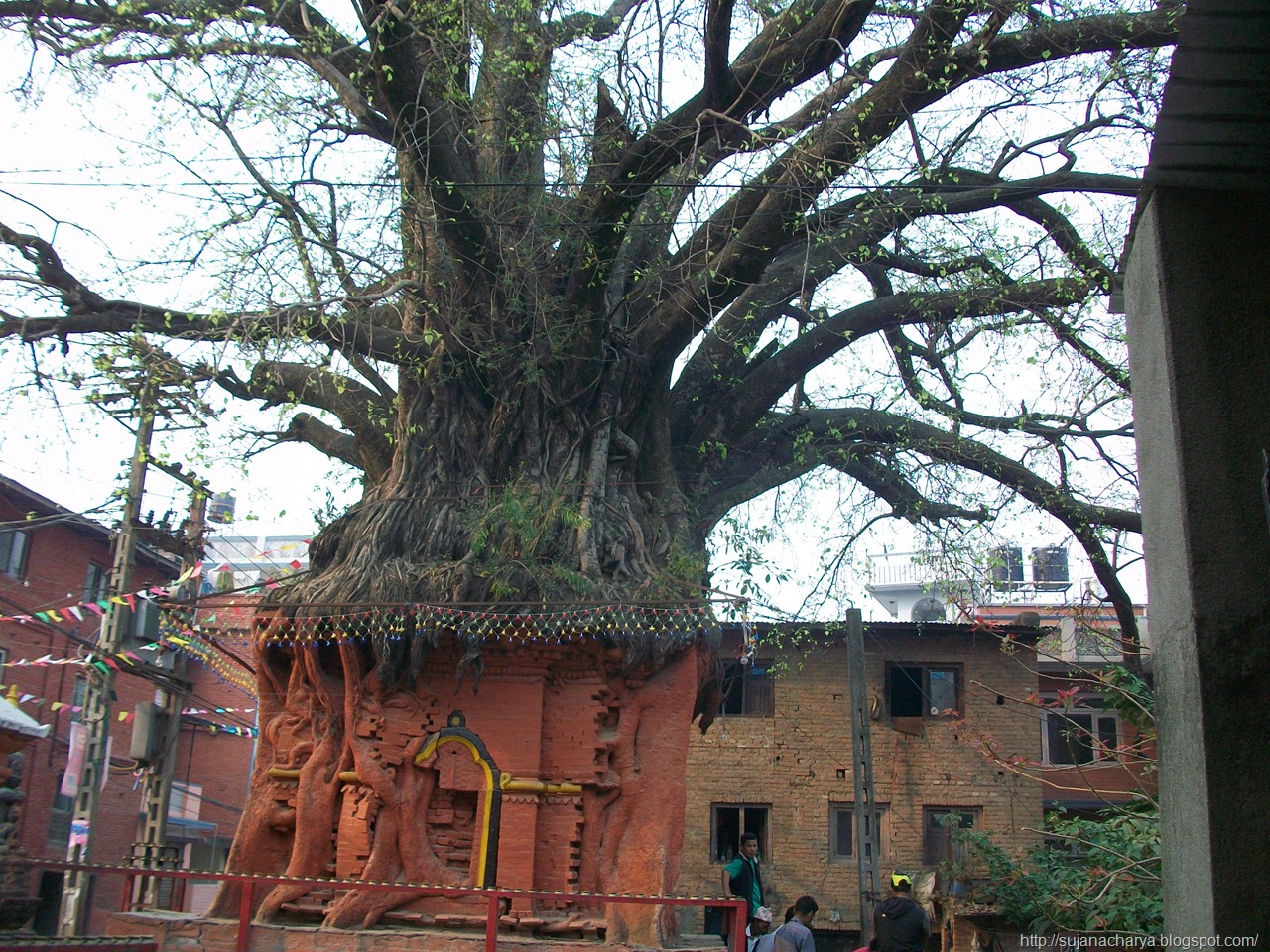 [Handigaon Krishna Temple (9)[4].jpg]