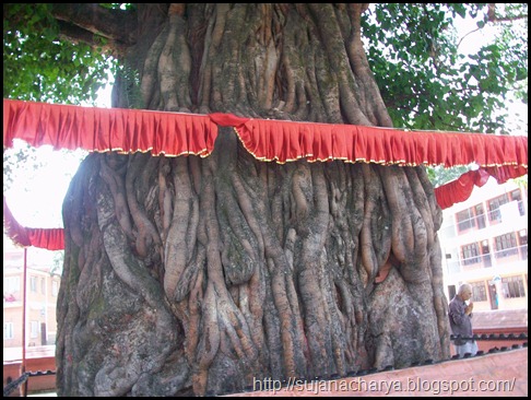Dhumra Baraha, Back side