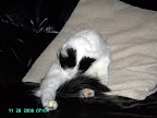 PICT0189.JPG