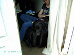 PICT0194.JPG