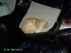 PICT0278.JPG
