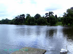 Digital StillCamera