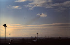 9-23-2010_048.JPG
