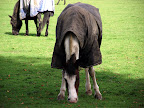 dscf7257.jpg