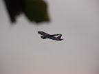 dscf7241.jpg