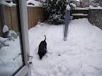 DSCF7733.JPG