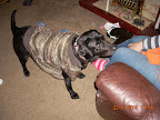 DSCN0274.JPG