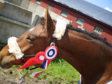 Choko er godt forn&oslash;yd med dagen 23052009