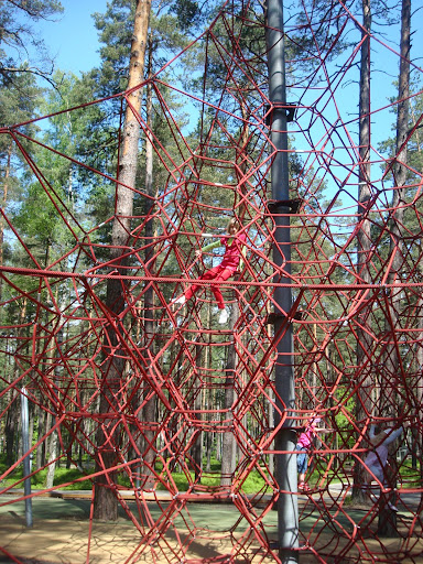 Рисунок