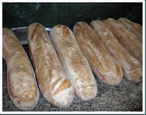 pane rustico pronto pane rustico pronto