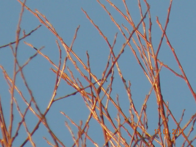 DSCN2533.JPG