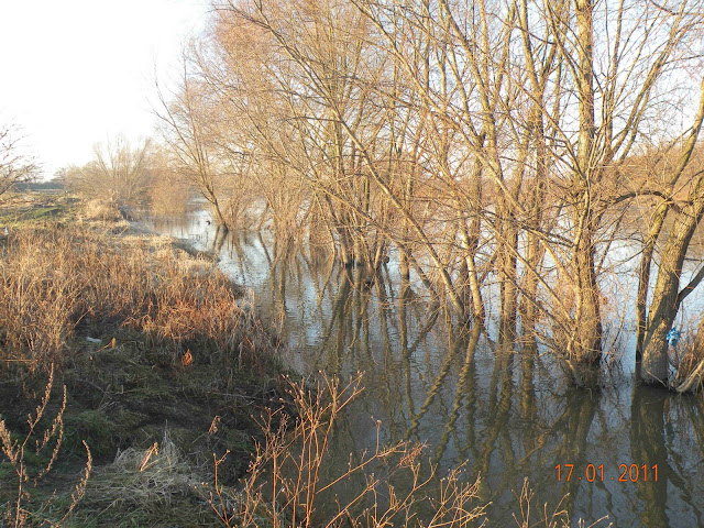 DSCN2535.JPG