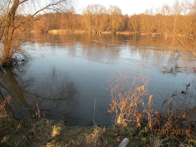 DSCN2539.JPG