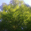 Image0049.jpg Image0049.jpg